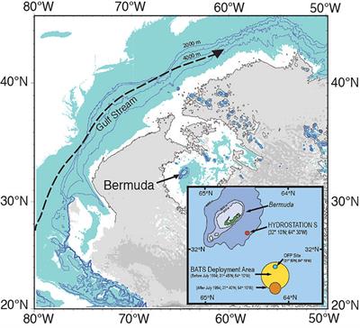 Forty years of ocean acidification observations (1983–2023) in the Sargasso Sea at the Bermuda Atlantic Time-series Study site